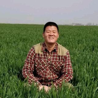 田野上的繁荣（刚酱の奇妙歌单）