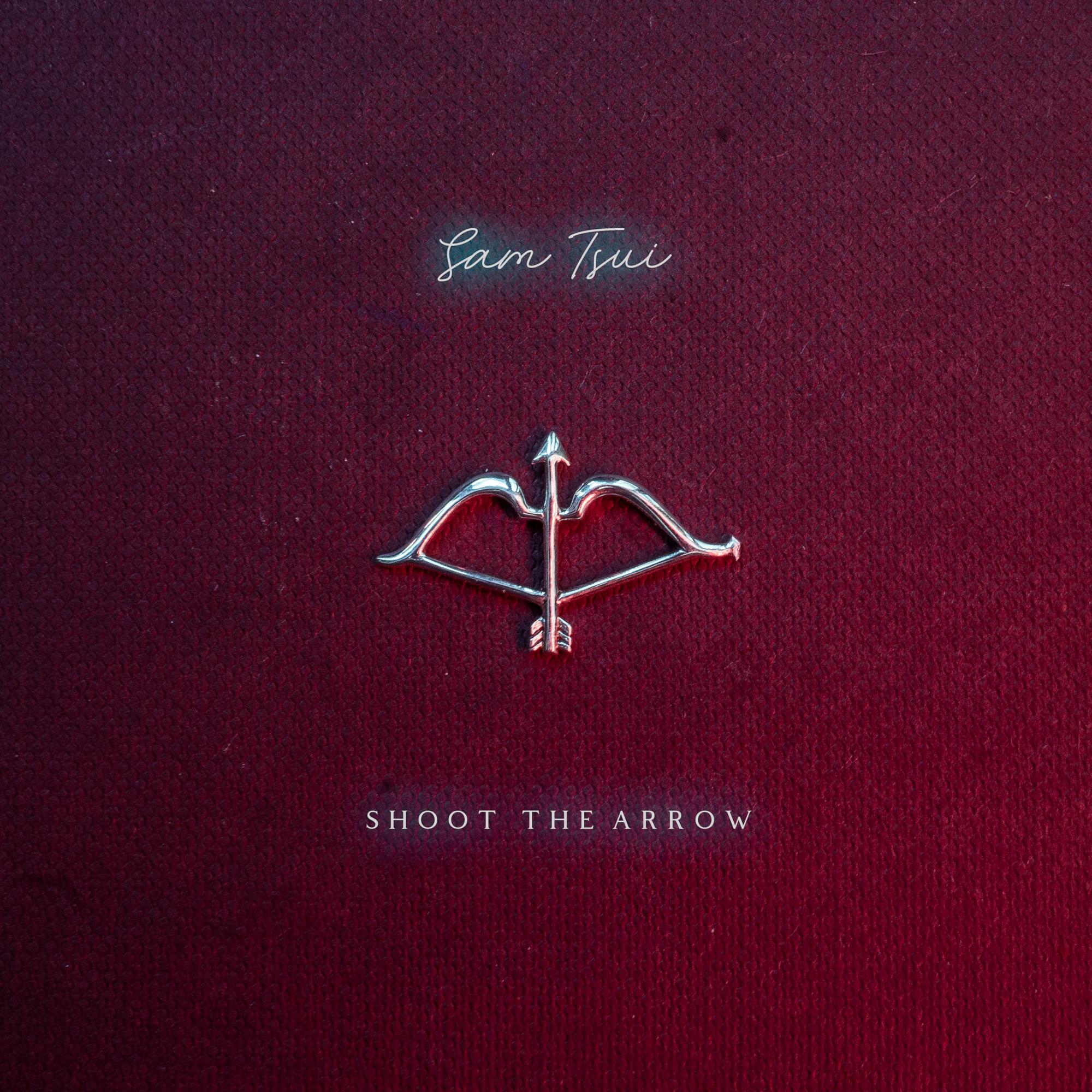Shoot The Arrow