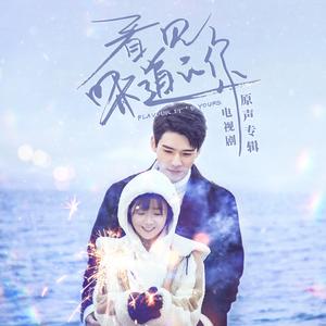 郭静-看见味道的你【伴奏】
