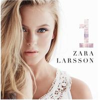 Zara Larsson - Rooftop (Instrumental)