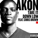 Take It Down Low(ft. Chris Brown)专辑