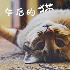 午后的猫