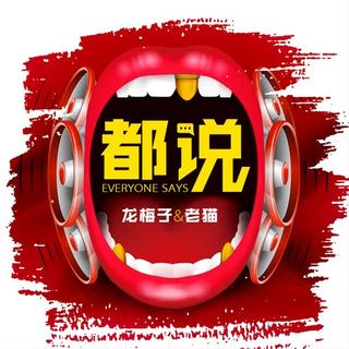 干就完了 (DJ版)