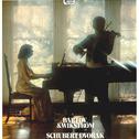SCHUBERT, F.: Violin Sonata, D. 385 / DVOŘÁK, A.: Violin Sonatina, Op. 100 (Bartov and Wikström)