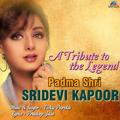 A Tribute to the Legend - Padma Shri Sridevi Kapoor