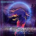 Into The Dark (feat. Sam Griffiths)专辑