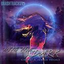 Into The Dark (feat. Sam Griffiths)专辑