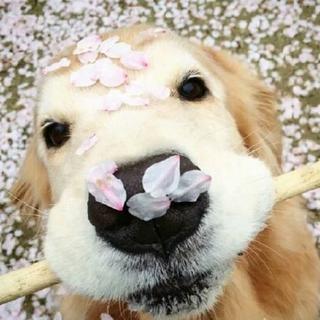 B站ISS直播专用歌单2，房间号：14047