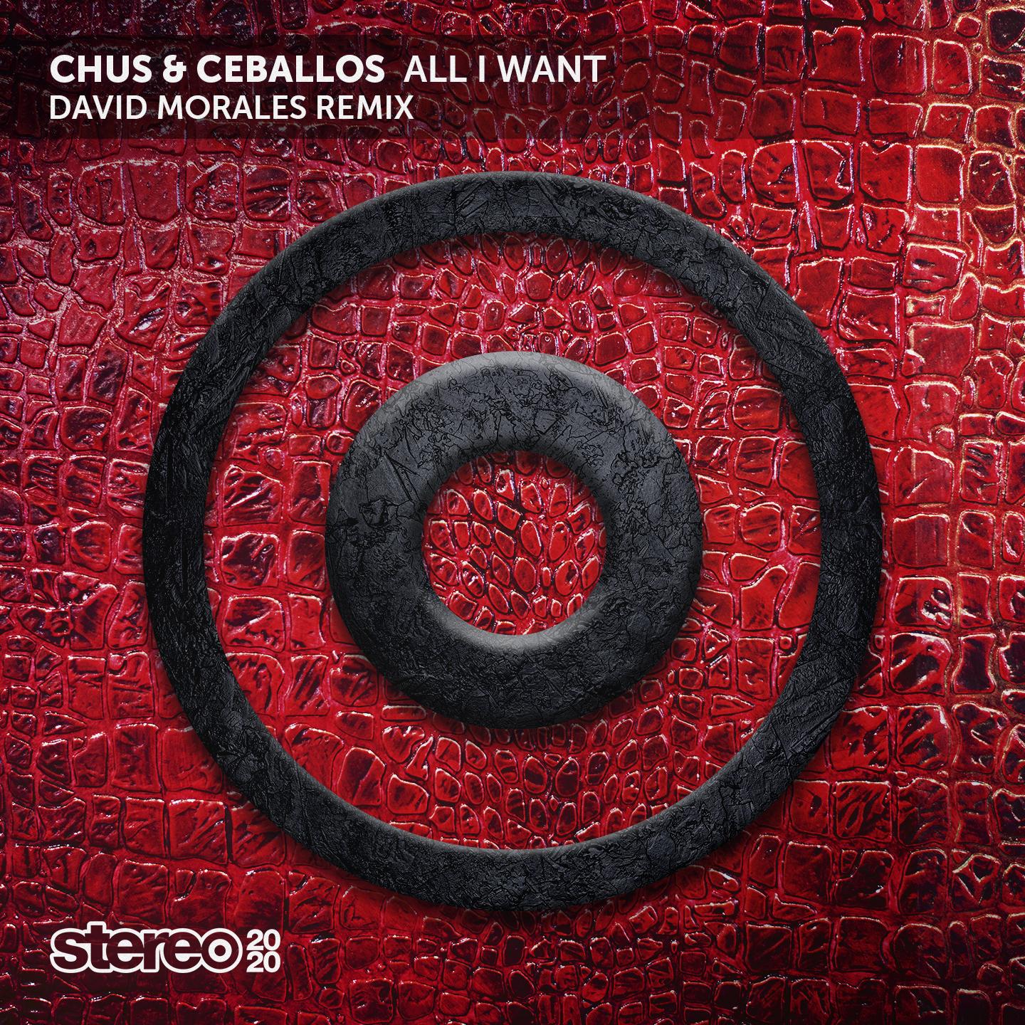 All I Want (David Morales Remix)