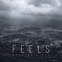 网友上传 Feels(Calvin Harris 伴奏)