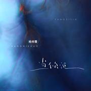 当你说