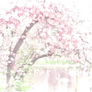 古风BGM｜意气风发是少年，群像万岁