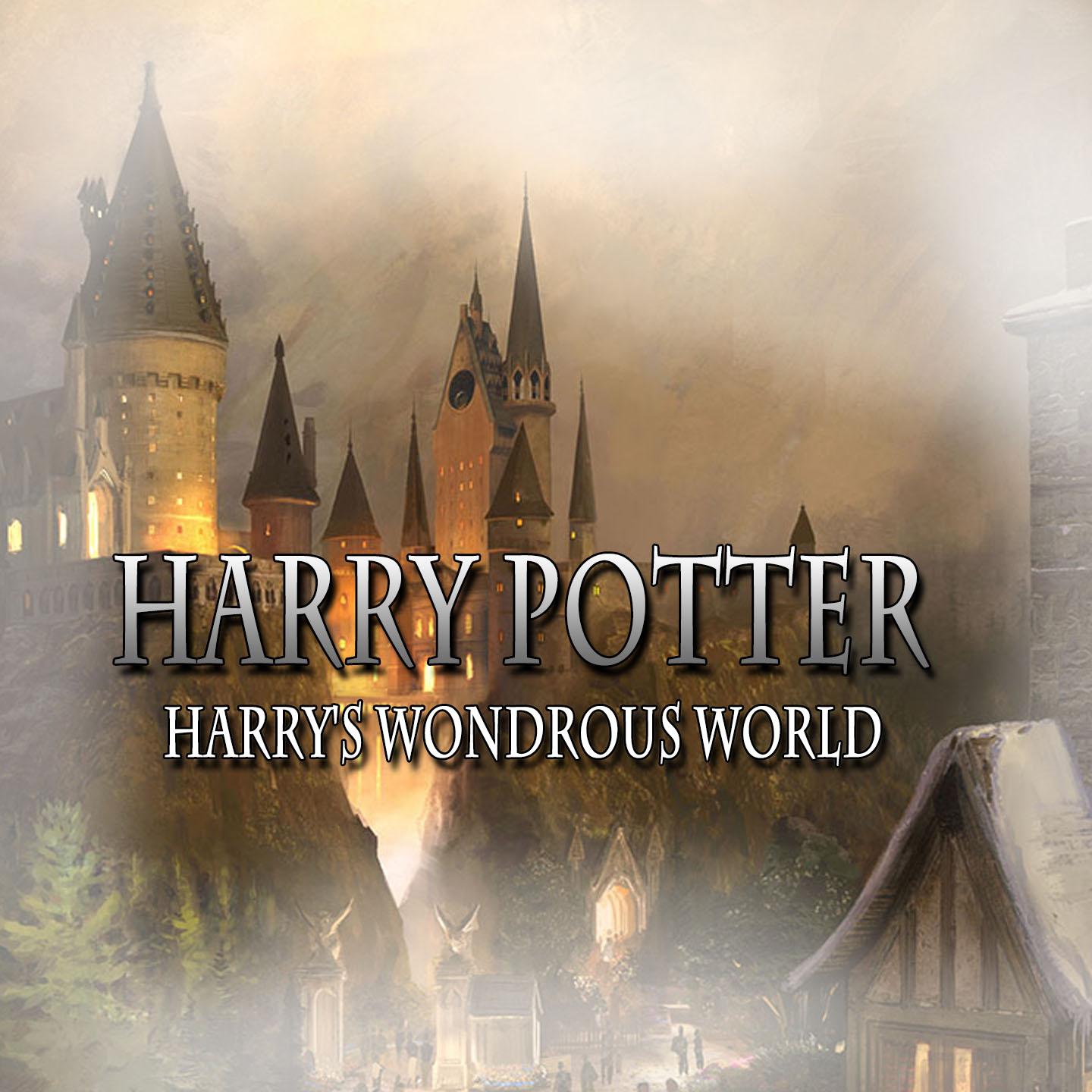 wondrous world (from harry potter and the philosophers stone)