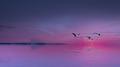 Flew away above the clouds专辑