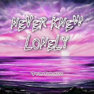 Never Knew Lonely - Vince Gill (Karaoke Version) 带和声伴奏