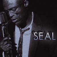 Here I Am (Come And Take Me) - Seal (Karaoke Version) 带和声伴奏