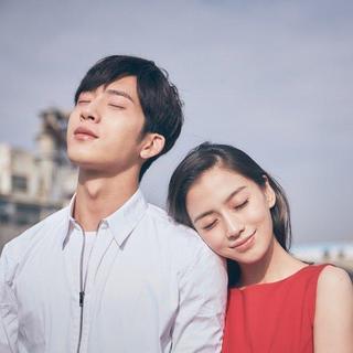 2010-2017百部爱情电影OST合集