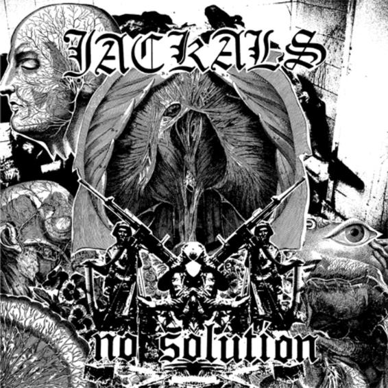 No Solution