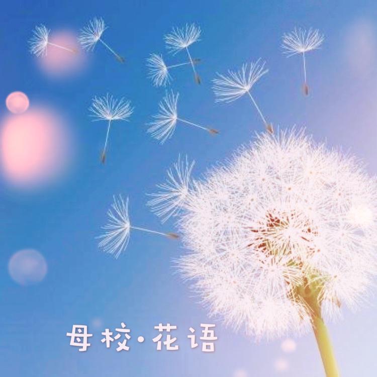 母校·花语