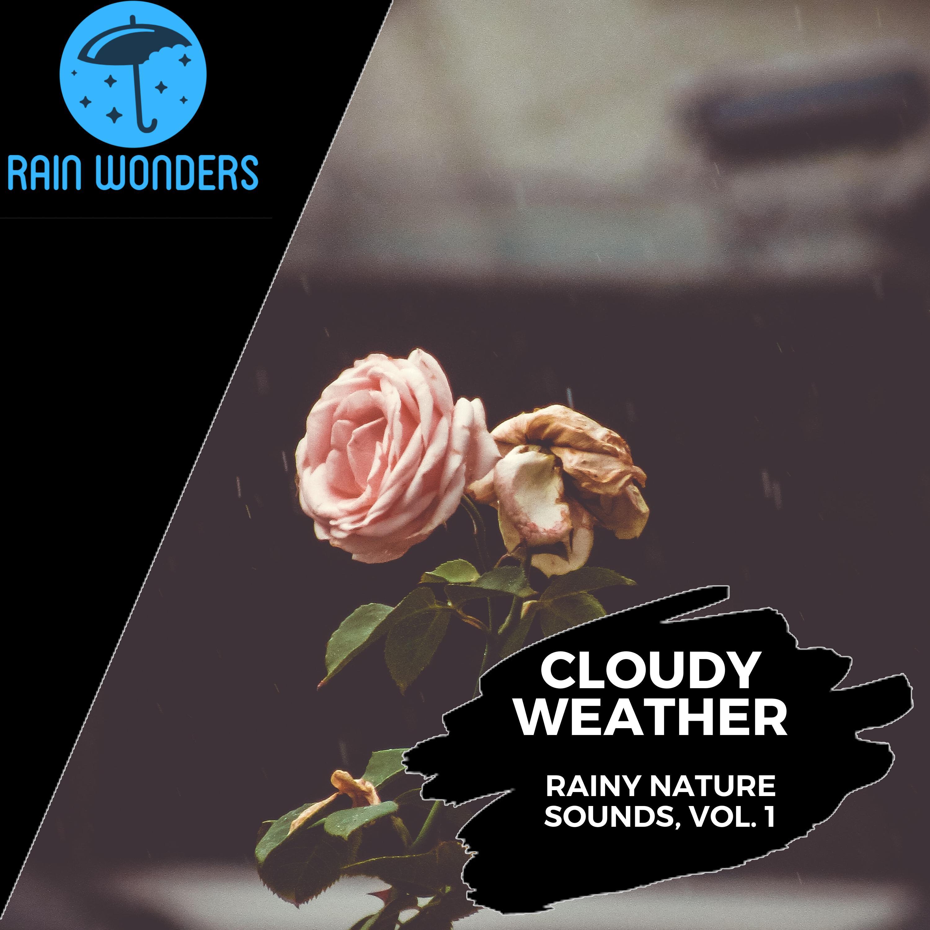 Glorious Rainy Sound Library - Light Rain Music