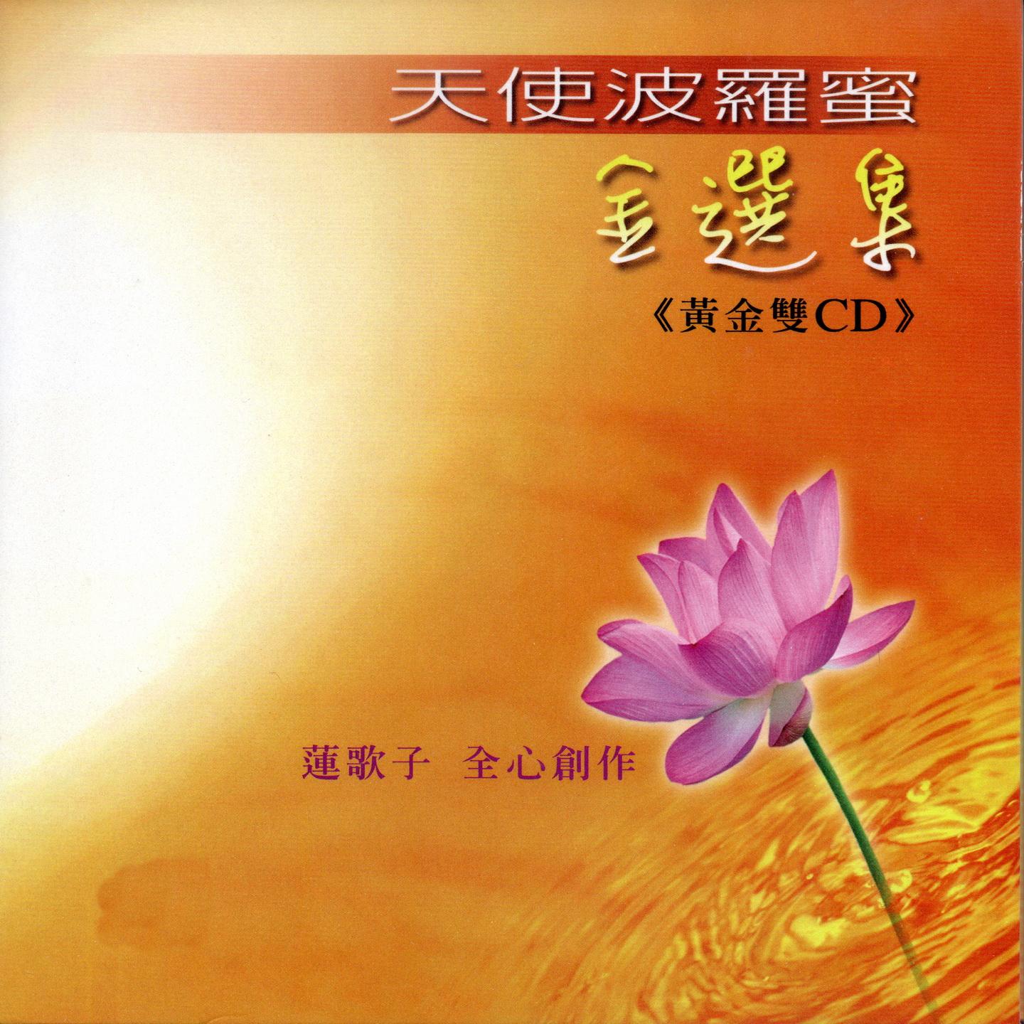 天使波罗蜜金选集 (1)