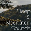 19 Rain and Nature Sounds Perfect for Looping for Sleep or Meditation专辑