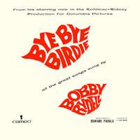Bye Bye Birdie - Rosie (karaoke)
