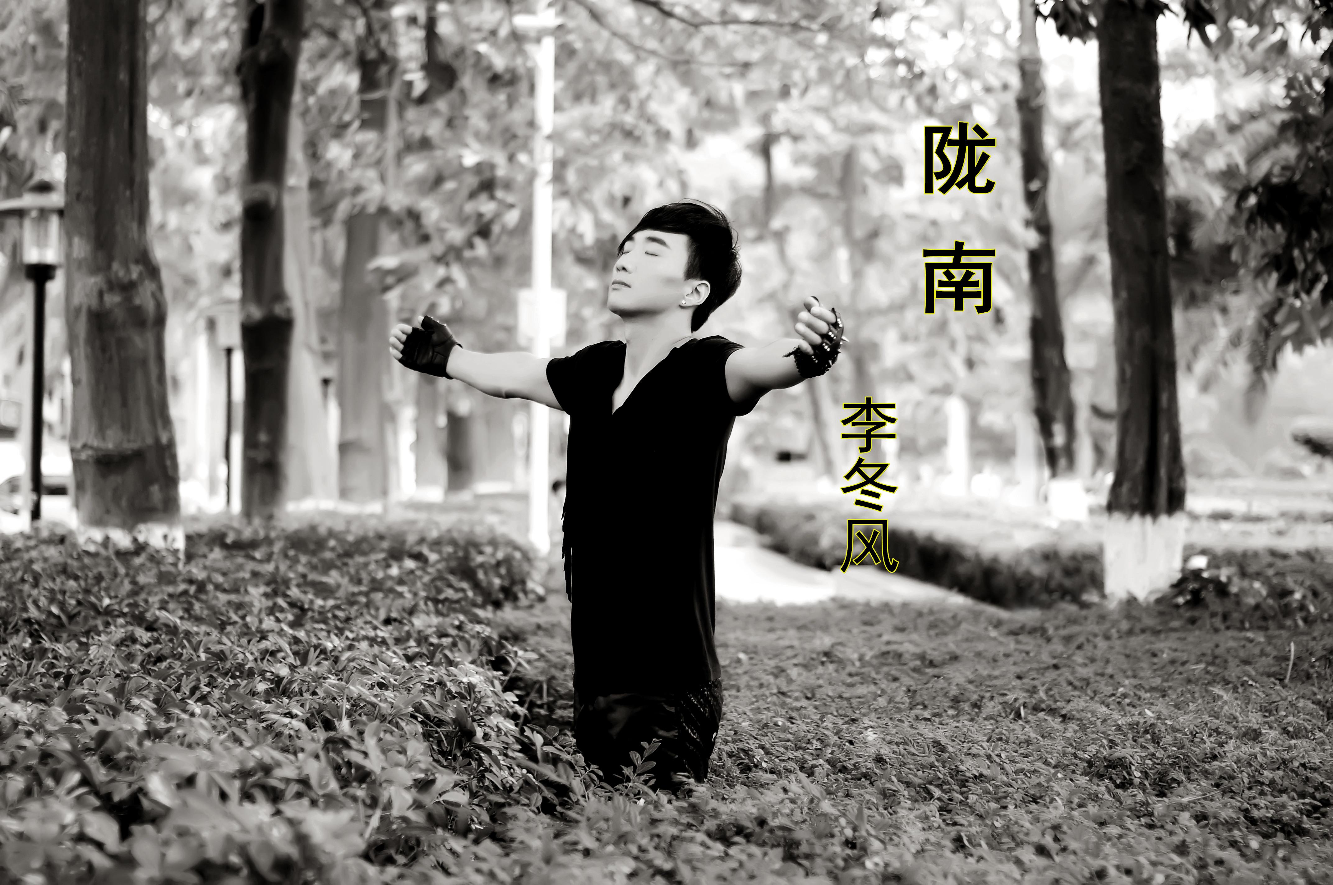 陇南