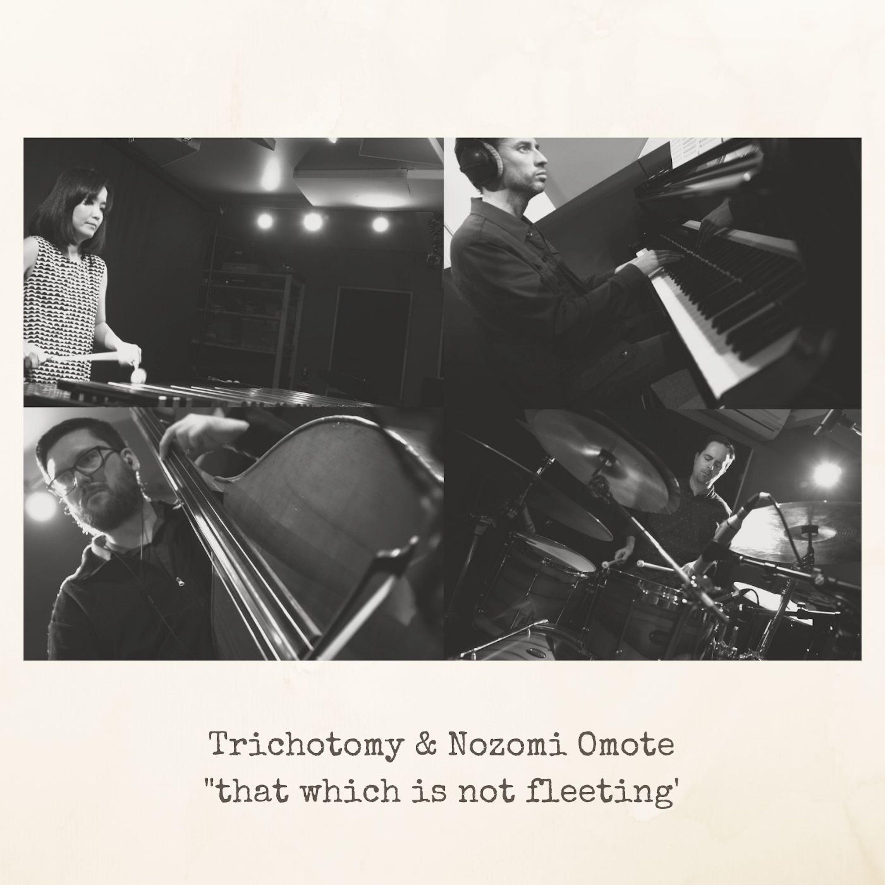 That Which is Not Fleeting