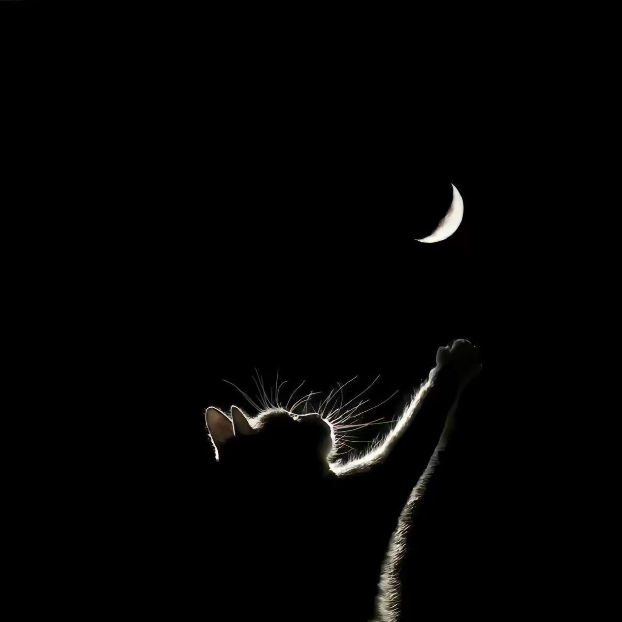 怎么会忘记你（翻自 王赫野/希林那依高）