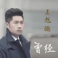 王旭鹏 - 最后的无言(原版立体声伴奏)