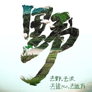 综艺野生厨房bgm