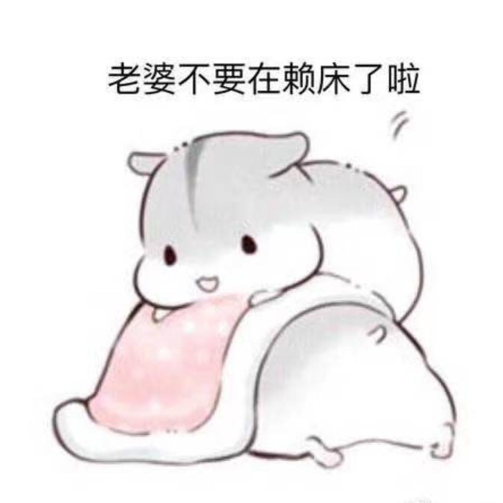 我家憨憨专属歌单