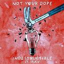 Indestructible (Ben Walter Remix)专辑