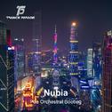 Nubia (Poe Orchestral Bootleg)