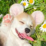 夏日限定 ♡ 热爱世间万物 无最爱 无例外
