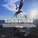 Cinnamone-Summertime