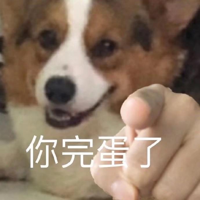 本来想做成小甜歌但是不够甜所以决定叫小酸歌