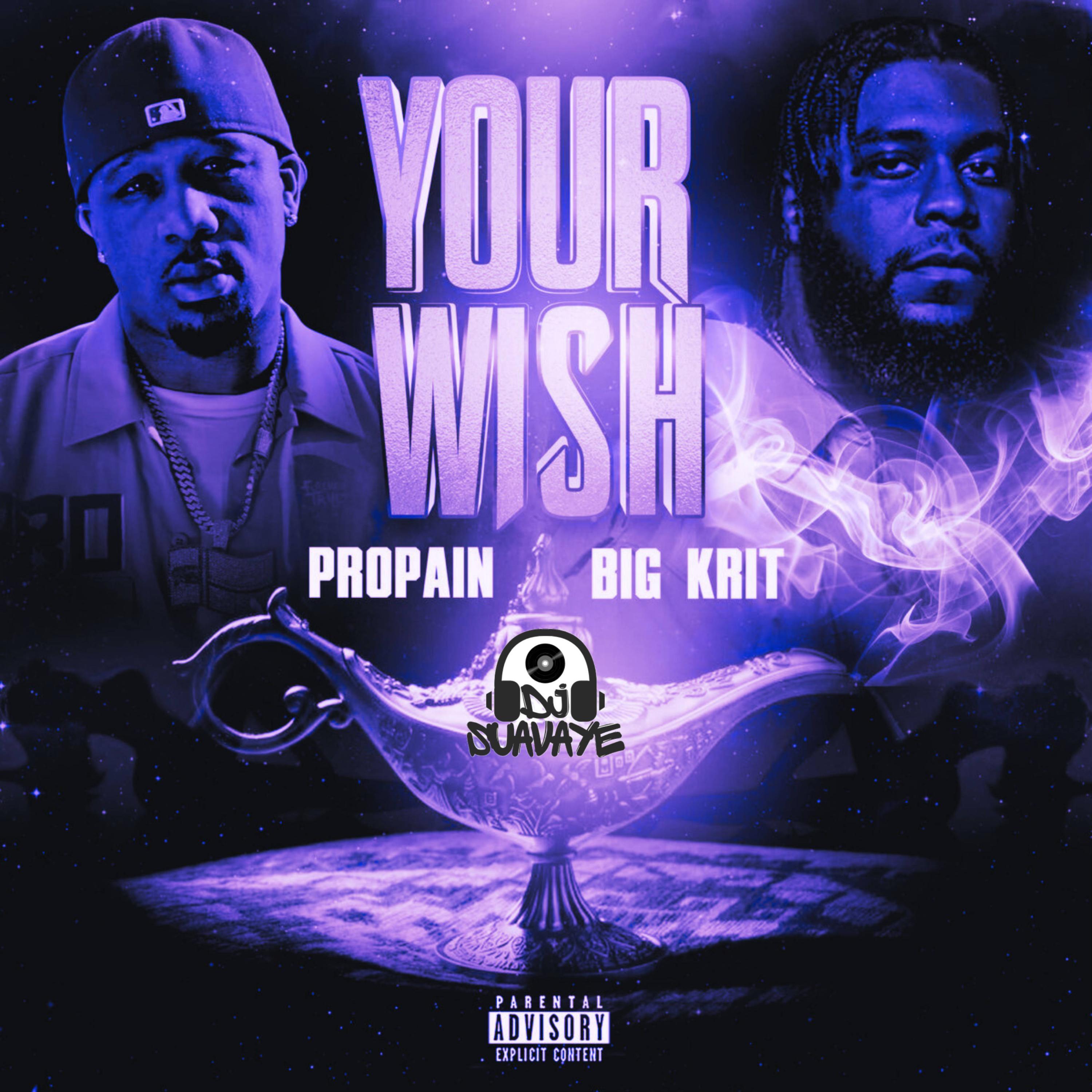 Your Wish (feat. Propain & Big K.R.I.T.) [chopped & smooved]