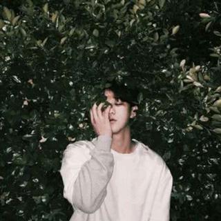 一生只能爱一人。