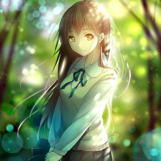 【日系/纯音】以静制动，驱散内心的浮躁♪