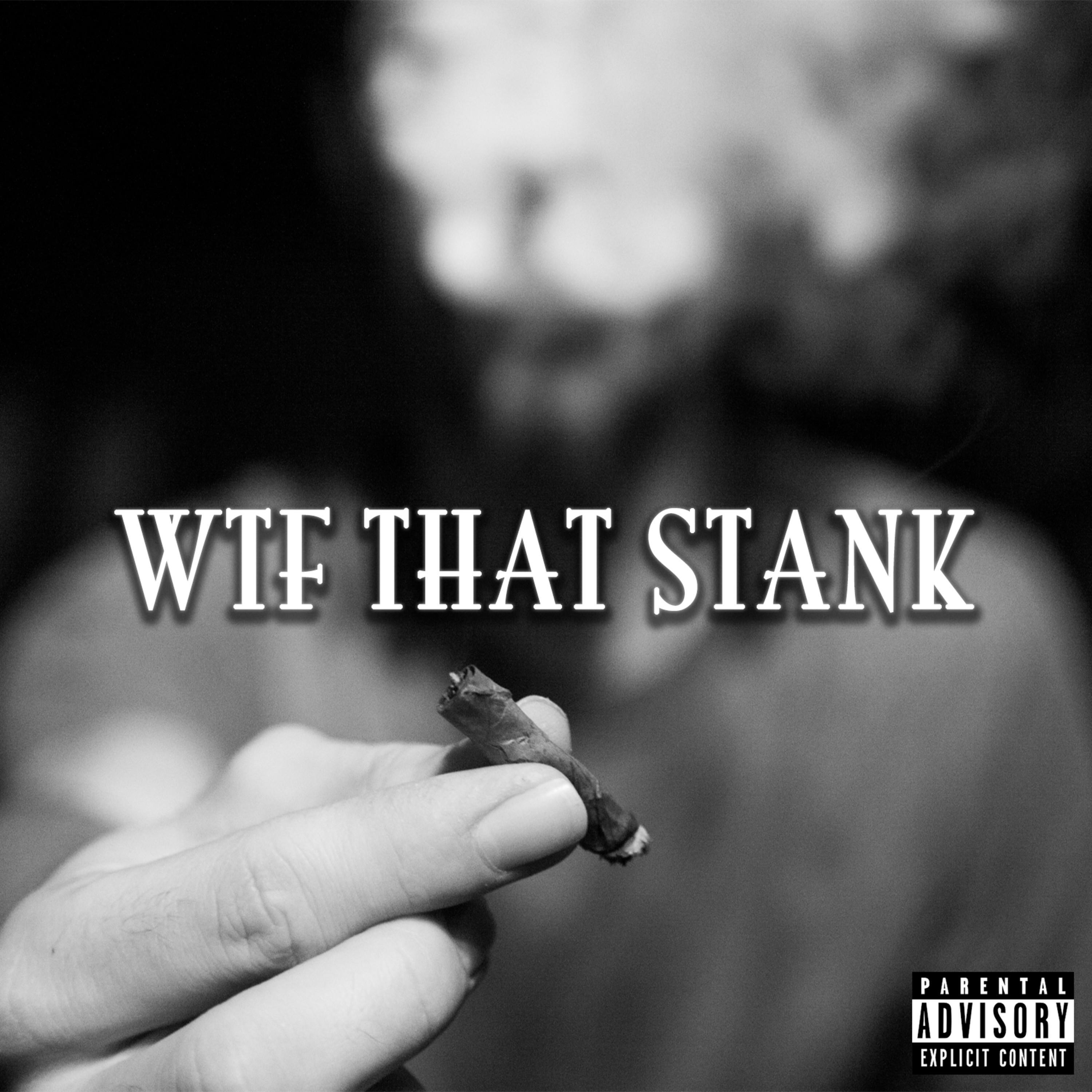 WTF That Stank (feat. Love Lucci)