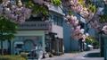 Cherry blossoms专辑