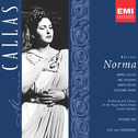 Bellini: Norma Disc 3专辑