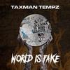 Taxman Tempz - World Is Fake (feat. M1OnTheBeat)