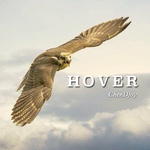 Hover专辑