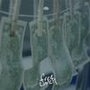 Free Lunch专辑
