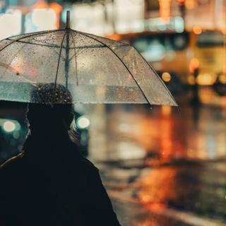 雨天避难所 | 适合发呆的治愈向华语