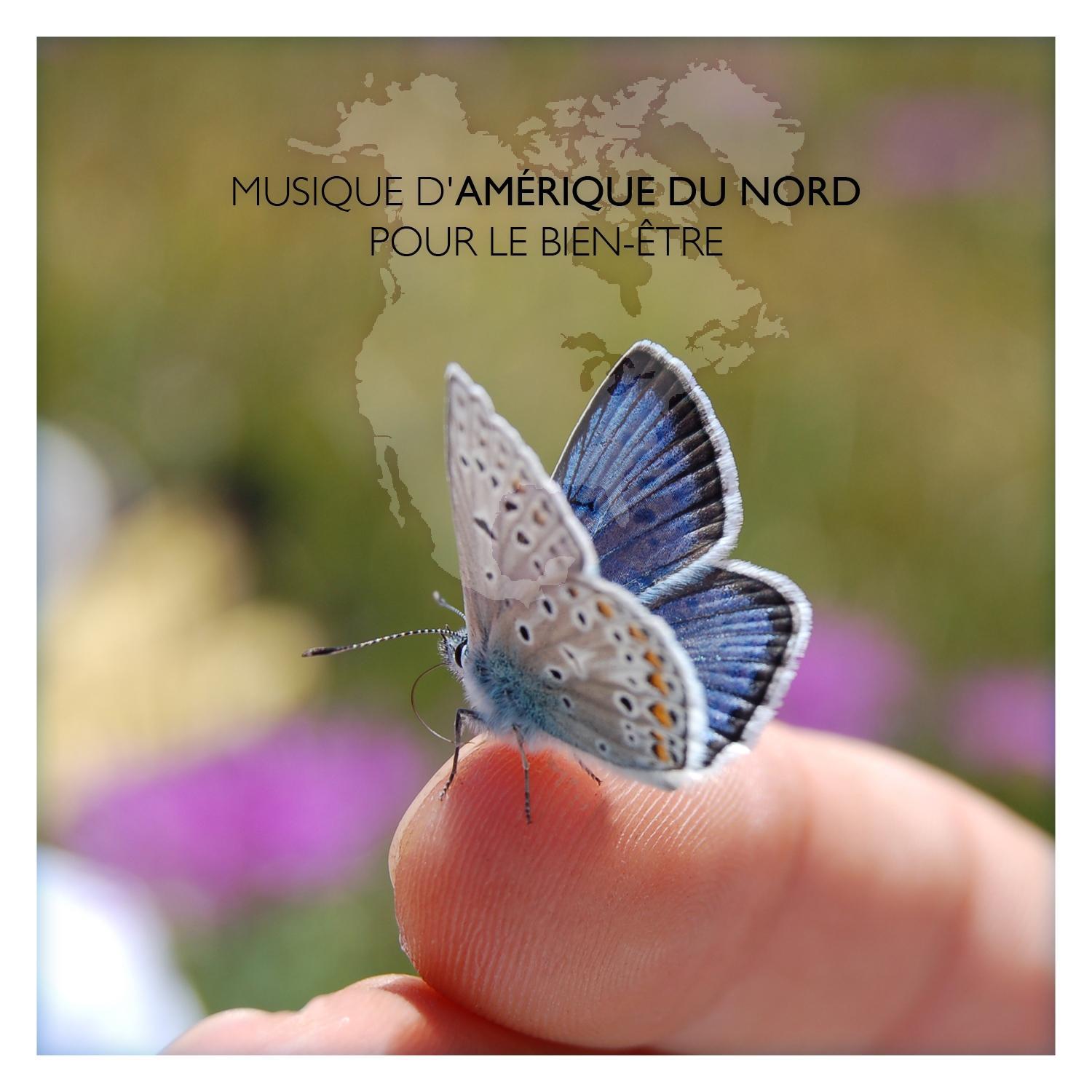 Musique d'Amérique du Nord pour le bien-être专辑