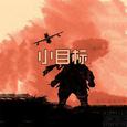 小目标